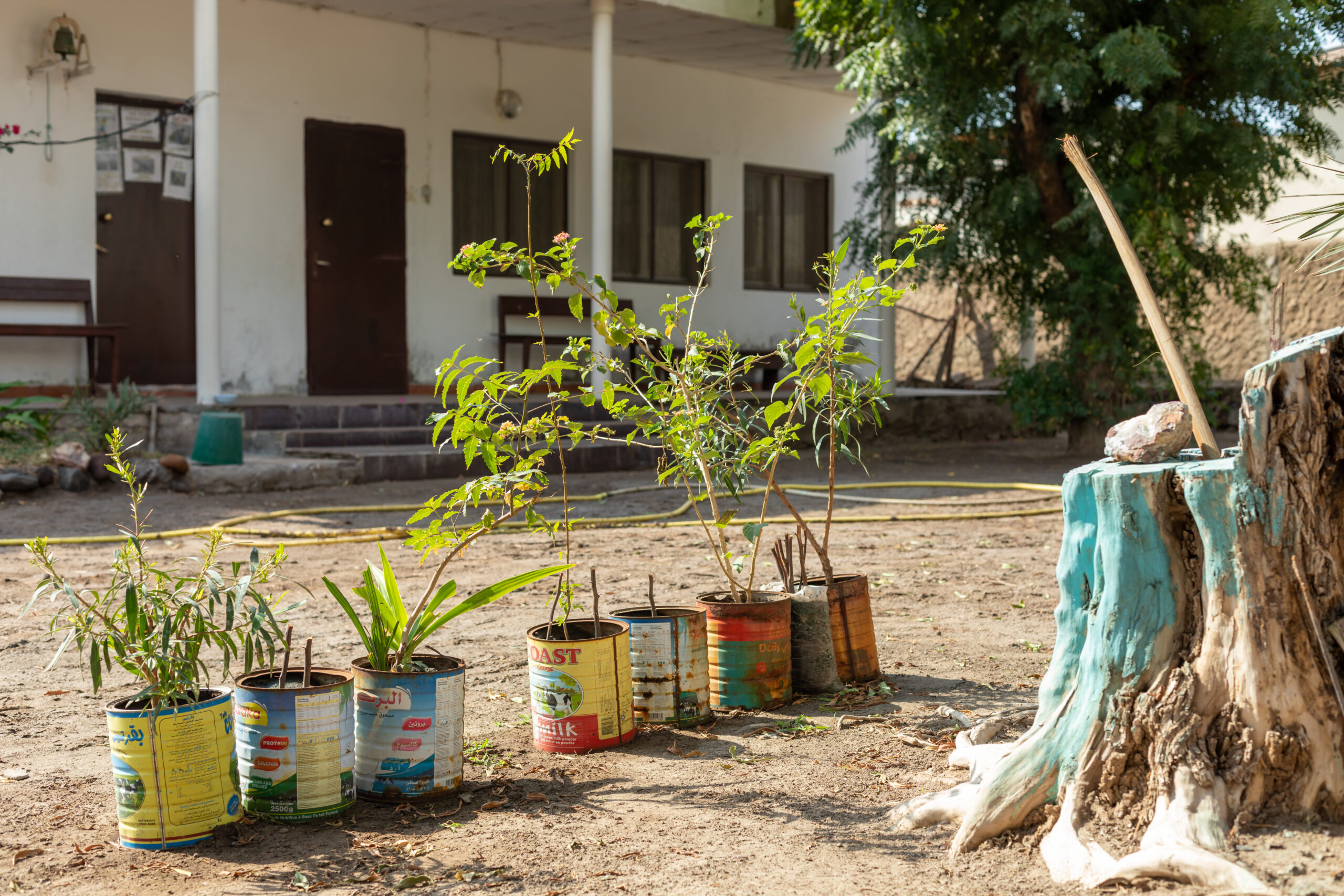 Tales of the Djibouti By Camille Massida